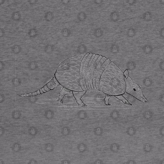 Armadillo by cowboyknees